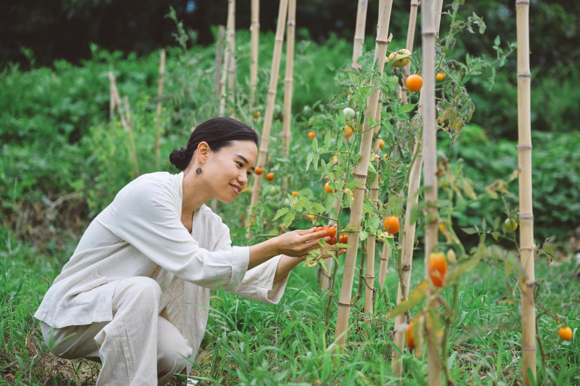 Eighten Private Guesthouse Yoga Retreat 1日1組限定古民家宿エイテン Хокуто Экстерьер фото